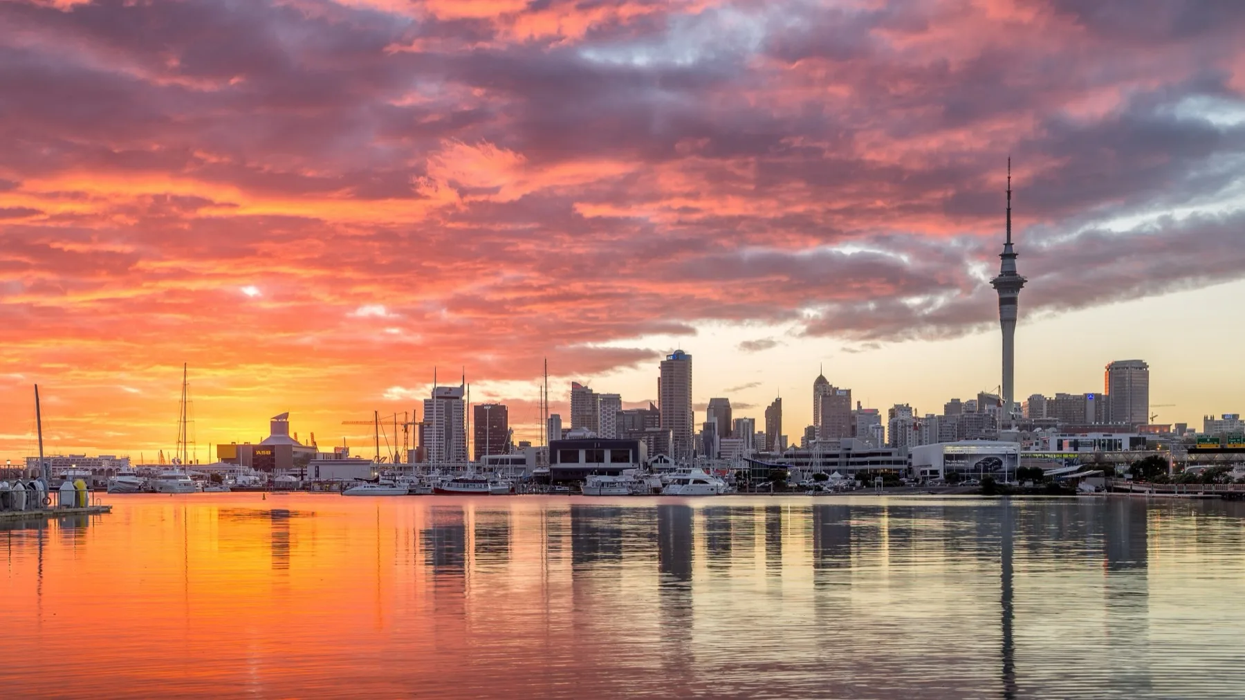 Auckland at sunset